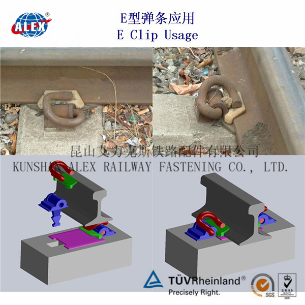 香港官方网站综合资料