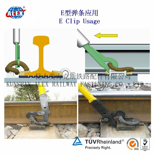 香港官方网站综合资料