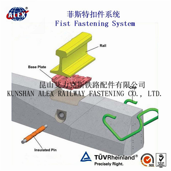 香港官方网站综合资料