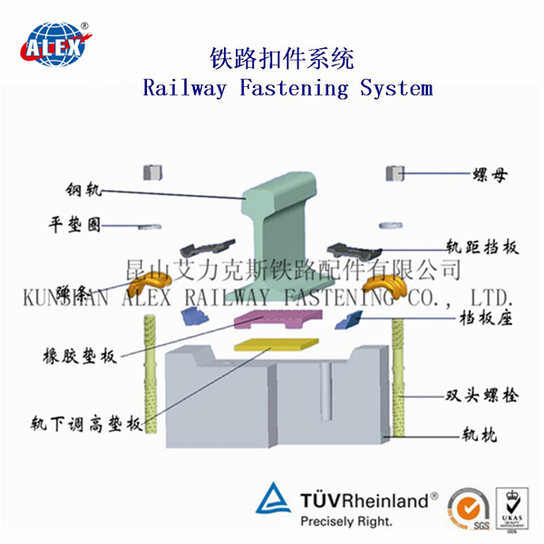 香港官方网站综合资料