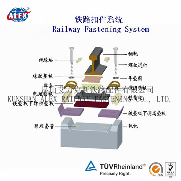 香港官方网站综合资料