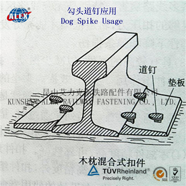 香港官方网站综合资料