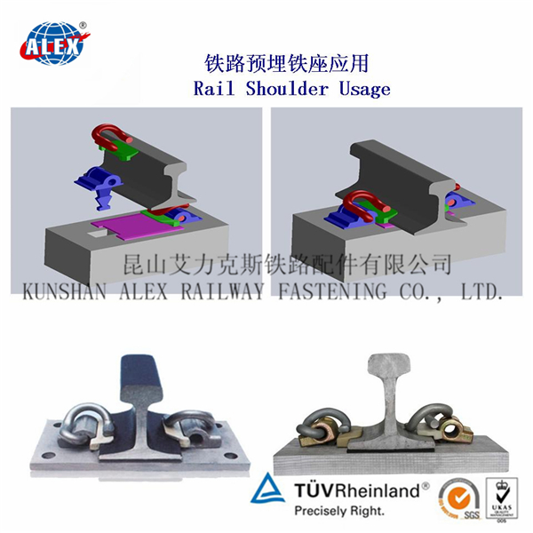 香港官方网站综合资料