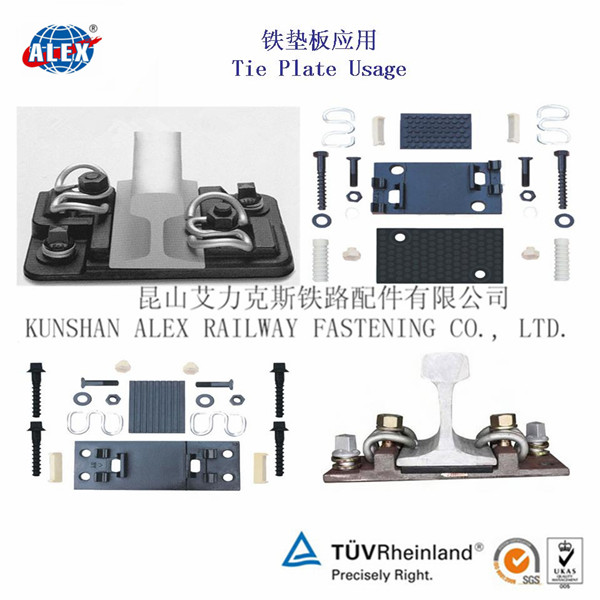 香港官方网站综合资料