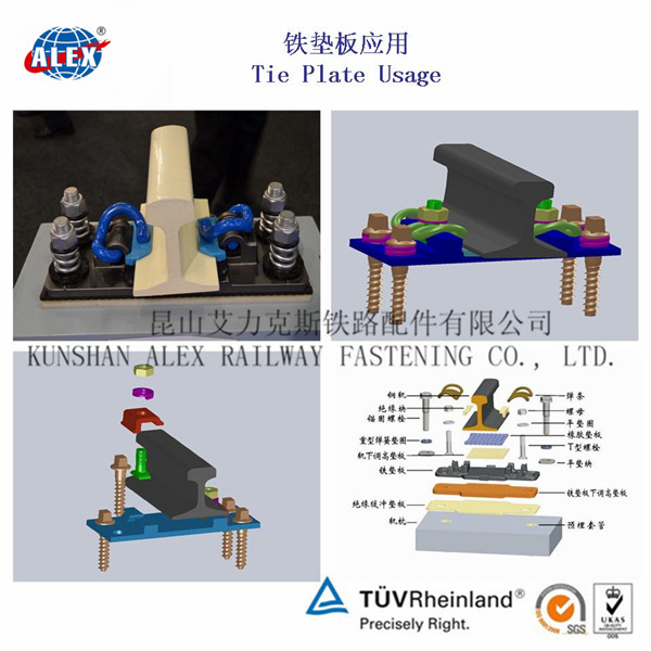 香港官方网站综合资料