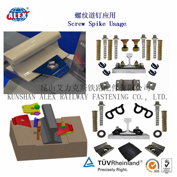 香港官方网站综合资料